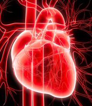 Pulmonary Circulation